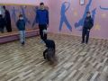 IMG 654a8080cc3f529784d52ad164fdfe54 V