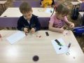 IMG 1086