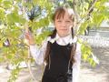 IMG 0444