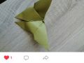 Screenshot 2020 06 19 13 11 53 122 com.vkontakte.android