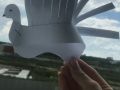 IMG 20200623 113330