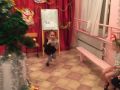 IMG 3938
