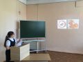 IMG 6669