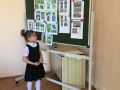 IMG 6678