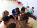 IMG 7291