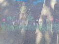 IMG 56d2bd1da5d2b2a1c92d5585a3cd5a6d V