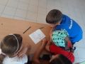 IMG 7654