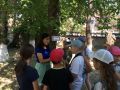 IMG 4324
