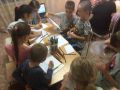 IMG 7178 26 07 21 07 08