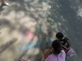 IMG 13d2ac650210095f03a326804feca673 V