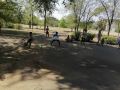 IMG acd10bb2f5df459e49d128ce6a282cea V