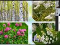                            12  cut photo.ru