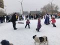 IMG 5993