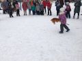 IMG 6011