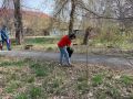 IMG 8556