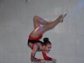 DSC 0313