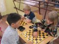 IMG 1393