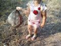 IMG 56e80017bb3600ef2d303fb097d81a89 V