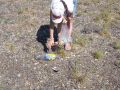 IMG 66099ffdae1a006722ae2afc1f8a3e93 V