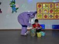 DSC 0181
