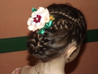 Удивительный мир канзаши. 30 января 2013 года
