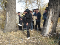 Вьем веревки из администрации. 11 октября 2012 года