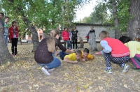 Марафон веревочных курсов. Ноябрь 2015 года