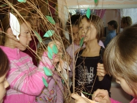Осенний калейдоскоп. 19 ноября 2012 года