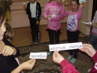 Осенний калейдоскоп. 19 ноября 2012 года
