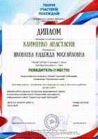 2020110110