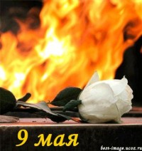 Спасибо вам, что мы войны не знаем