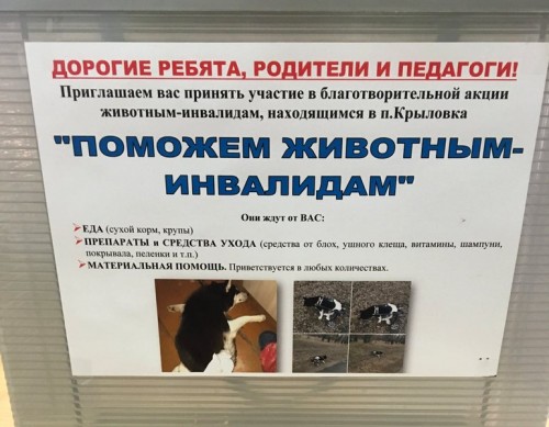 Поможем животным вместе!