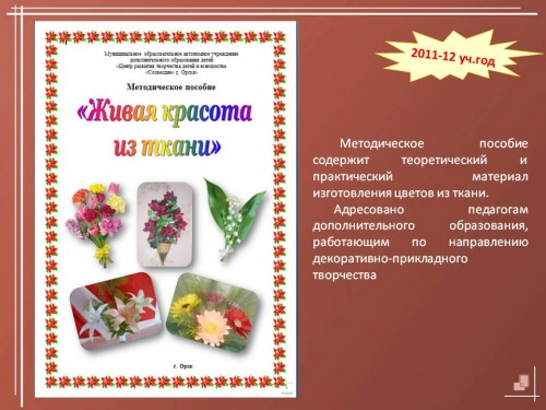 Методическая продукция 2011-2012 учебный год