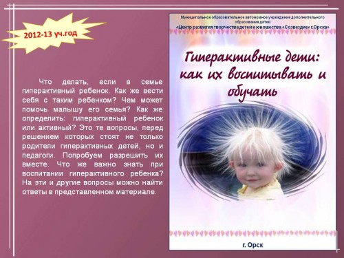 Методическая продукция 2012-2013 учебный год