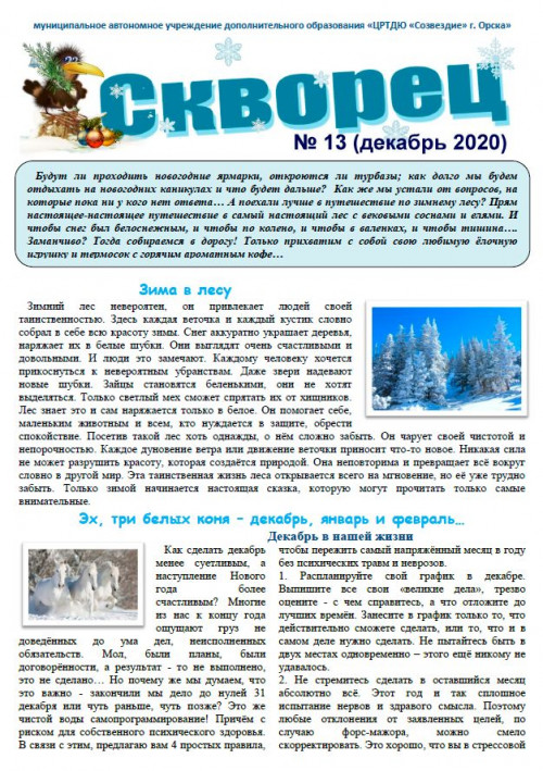 Психологическая газета «Скворец» № 13